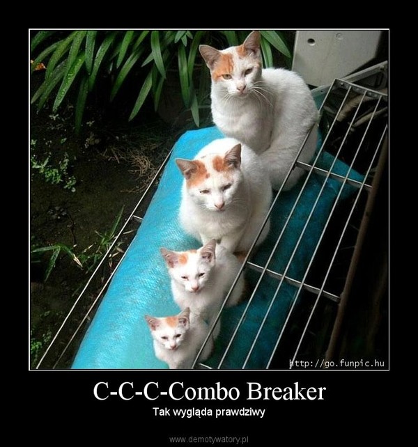 C-C-C-Combo Breaker – Tak wygląda prawdziwy 