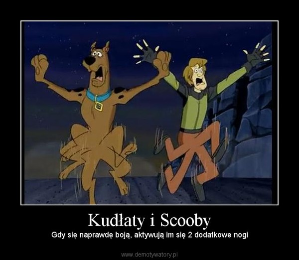 Kudłaty i Scooby