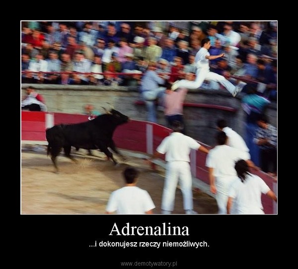 Adrenalina – ...i dokonujesz rzeczy niemożliwych. 