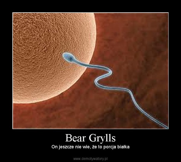 Bear Grylls –  On jeszcze nie wie, że to porcja białka  