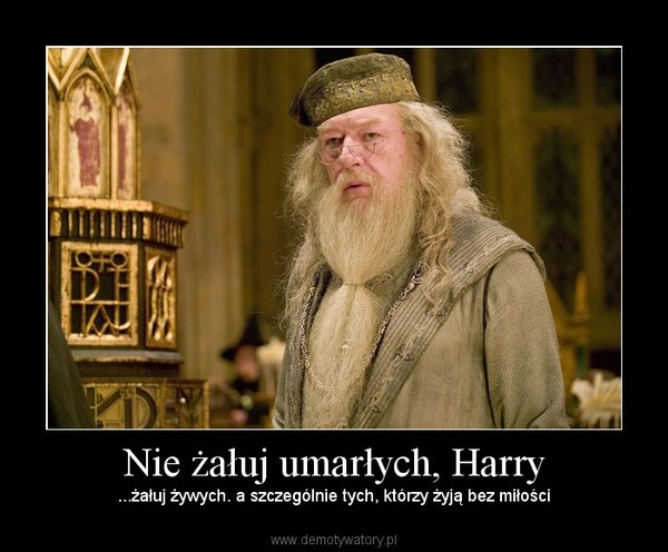 Nie żałuj umarłych, Harry – ...żałuj żywych. a szczególnie tych, którzy żyją bez miłości 