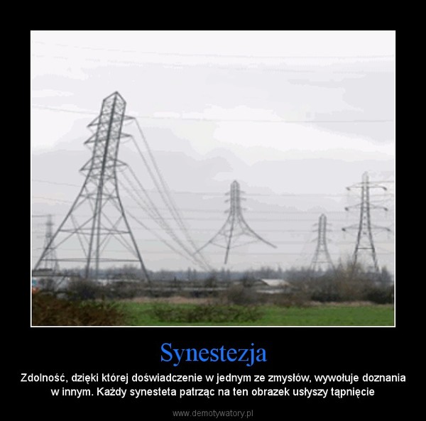 Synestezja – Zdolność, dzięki której doświadczenie w jednym ze zmysłów, wywołuje doznania w innym. Każdy synesteta patrząc na ten obrazek usłyszy tąpnięcie 