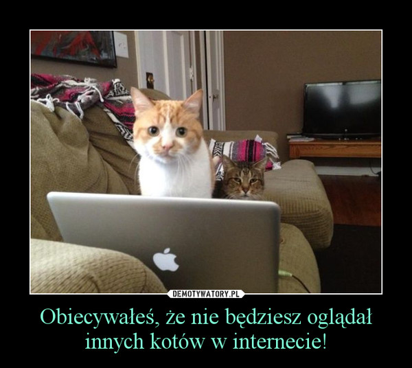 Obiecywałeś, że nie będziesz oglądał innych kotów w internecie! –  