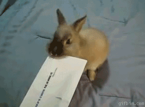 Więc zamiast iść spać wolisz... – ...oglądać jak królik otwiera kopertę? 