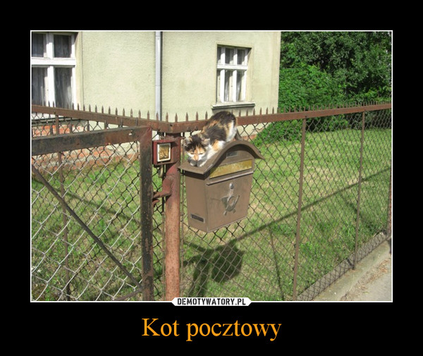 Kot pocztowy –  