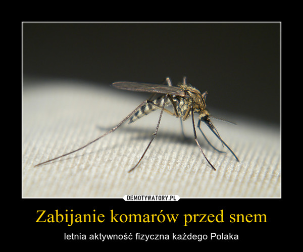 Zabijanie komarów przed snem