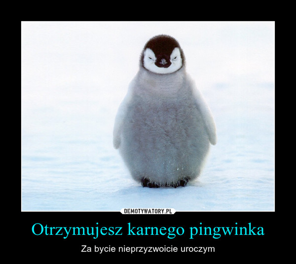 Otrzymujesz karnego pingwinka – Za bycie nieprzyzwoicie uroczym 