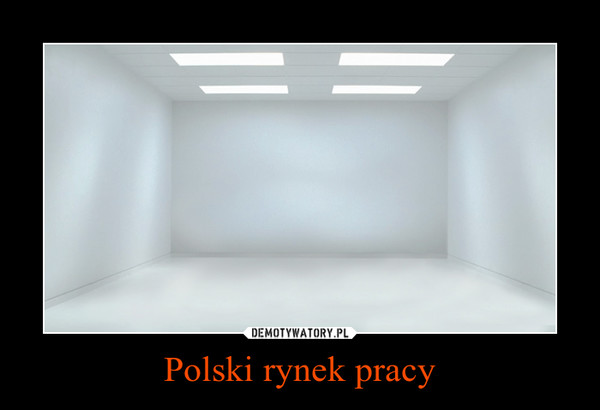 Polski rynek pracy –  