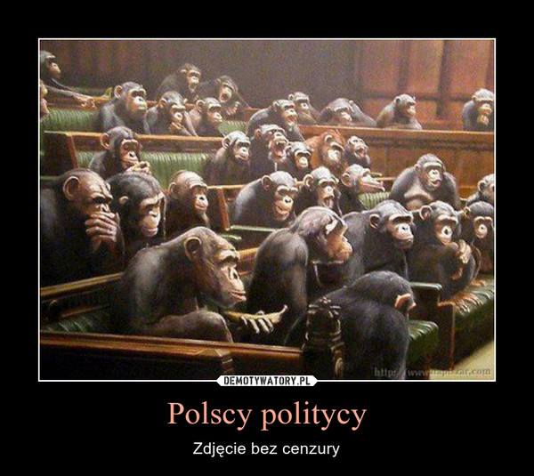 Polscy politycy – Zdjęcie bez cenzury 