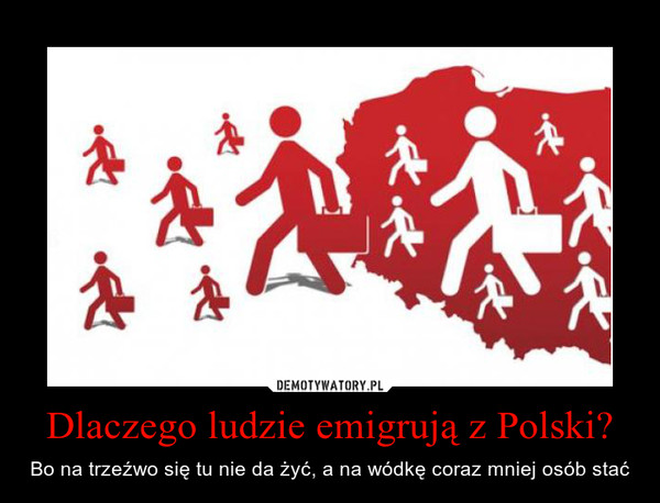 Dlaczego ludzie emigrują z Polski? – Bo na trzeźwo się tu nie da żyć, a na wódkę coraz mniej osób stać 