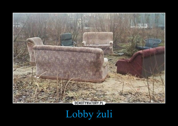 Lobby żuli –  