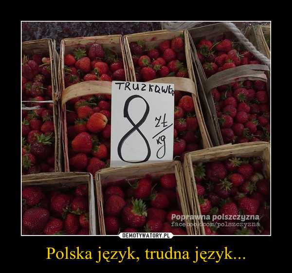 Polska język, trudna język... –  