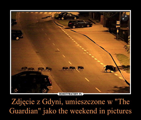 Zdjęcie z Gdyni, umieszczone w "The Guardian" jako the weekend in pictures –  