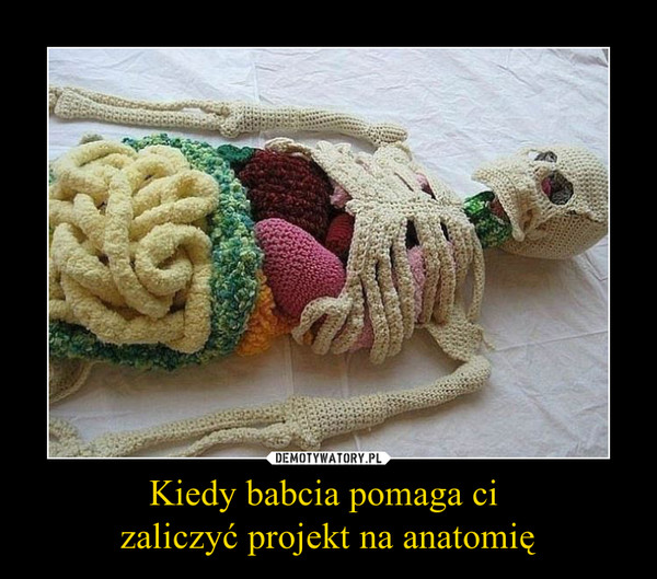 Kiedy babcia pomaga ci zaliczyć projekt na anatomię –  