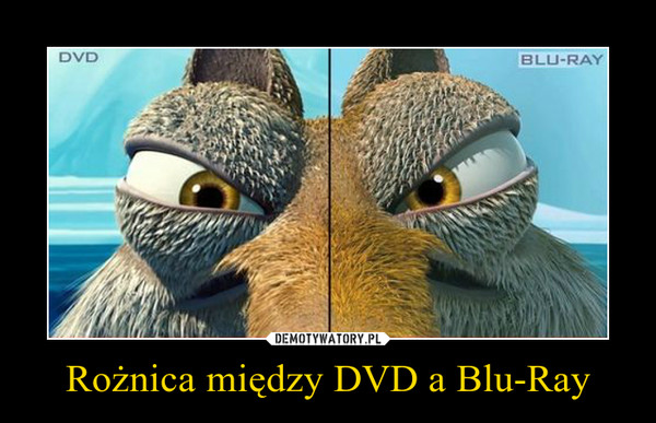 Rożnica między DVD a Blu-Ray –  