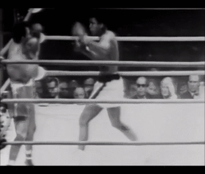 "Latać jak motyl, żądlić jak pszczoła" – 3 czerwca 2016 w wieku 74 lat zmarł Muhammad Ali. Mistrz olimpijski z Rzymu 1960 r. Jako jedyny bokser w historii trzykrotnie zdobył tytuł mistrza świata wszechwag i skutecznie bronił go dziewiętnaście razy.  Na ringu zawodowym stoczył 61 walk, wygrał 56 pojedynków (z czego 37 przez nokaut). Poniósł tylko 5 porażek. W 1990 roku został wprowadzony do Międzynarodowej Galerii Sław Boksu. 