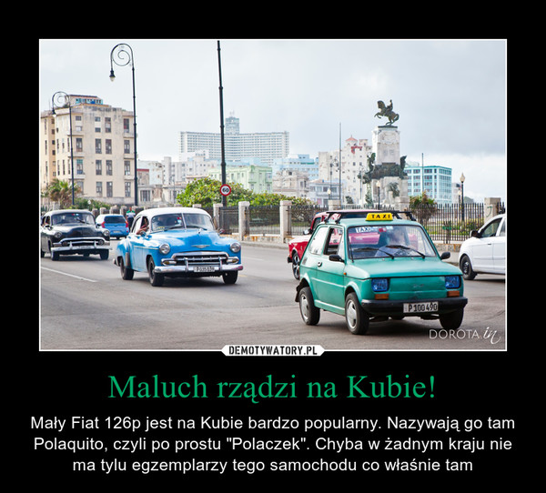 Maluch rządzi na Kubie! – Mały Fiat 126p jest na Kubie bardzo popularny. Nazywają go tam Polaquito, czyli po prostu "Polaczek". Chyba w żadnym kraju nie ma tylu egzemplarzy tego samochodu co właśnie tam 