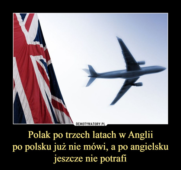 Polak po trzech latach w Angliipo polsku już nie mówi, a po angielsku jeszcze nie potrafi –  