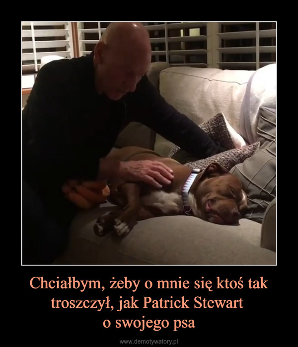 Chciałbym, żeby o mnie się ktoś tak troszczył, jak Patrick Stewart o swojego psa –  