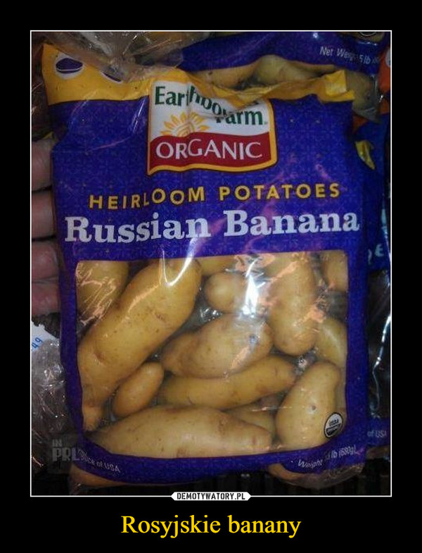 Rosyjskie banany