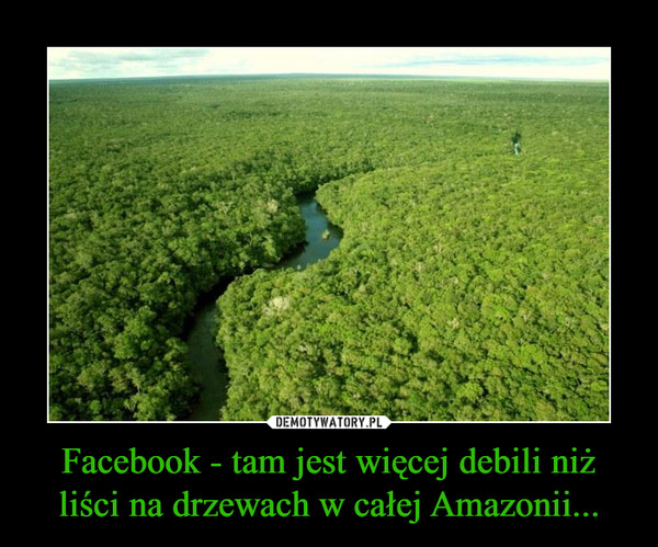 Facebook - tam jest więcej debili niż liści na drzewach w całej Amazonii... –  