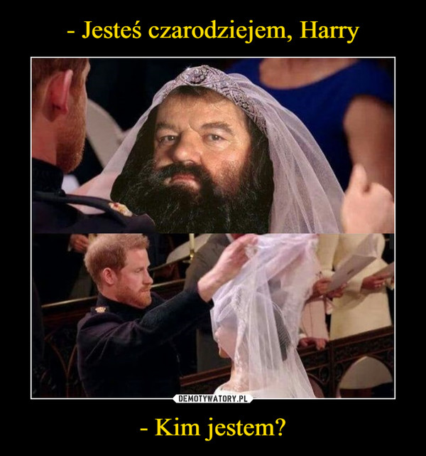 - Jesteś czarodziejem, Harry - Kim jestem?