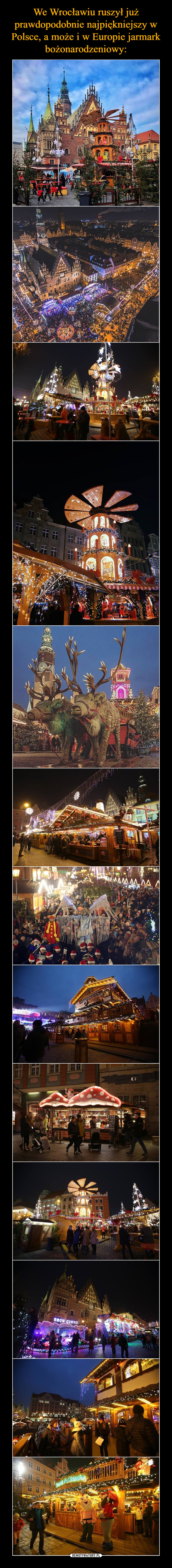 We Wrocławiu ruszył już prawdopodobnie najpiękniejszy w Polsce, a może i w Europie jarmark bożonarodzeniowy: