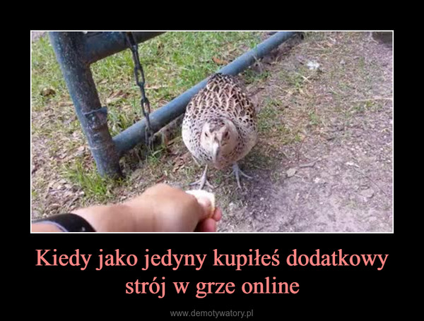 Kiedy jako jedyny kupiłeś dodatkowystrój w grze online –  