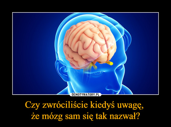 Czy zwróciliście kiedyś uwagę, że mózg sam się tak nazwał? –  
