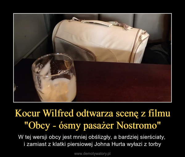 Kocur Wilfred odtwarza scenę z filmu "Obcy - ósmy pasażer Nostromo" – W tej wersji obcy jest mniej obślizgły, a bardziej sierściaty, i zamiast z klatki piersiowej Johna Hurta wyłazi z torby 