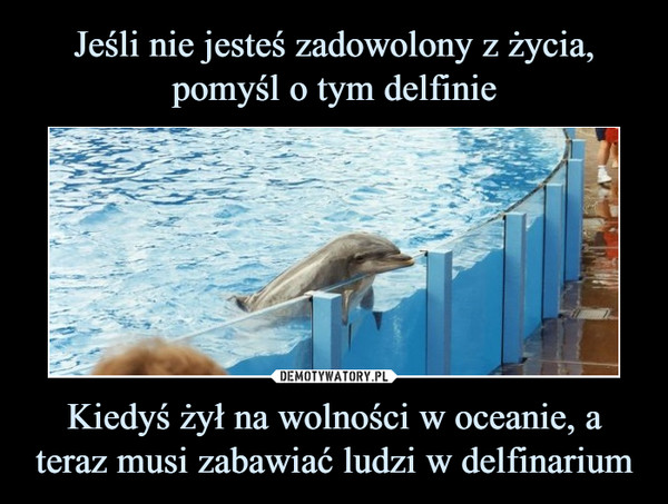 Jeśli nie jesteś zadowolony z życia, pomyśl o tym delfinie Kiedyś żył na wolności w oceanie, a teraz musi zabawiać ludzi w delfinarium