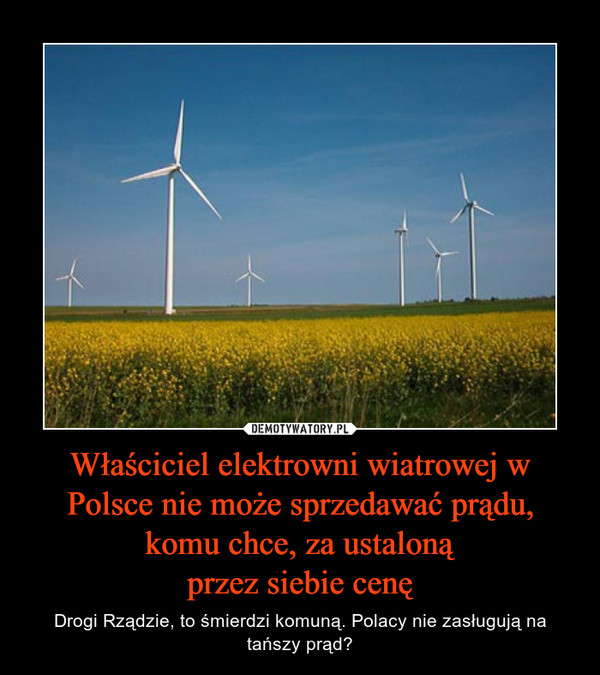 Właściciel elektrowni wiatrowej w Polsce nie może sprzedawać prądu, komu chce, za ustaloną
przez siebie cenę
