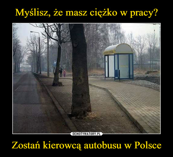 Zostań kierowcą autobusu w Polsce –  