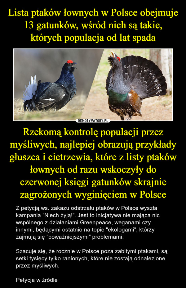 Lista ptaków łownych w Polsce obejmuje 13 gatunków, wśród nich są takie, których populacja od lat spada Rzekomą kontrolę populacji przez myśliwych, najlepiej obrazują przykłady głuszca i cietrzewia, które z listy ptaków łownych od razu wskoczyły do czerwonej księgi gatunków skrajnie zagrożonych wyginięciem w Polsce