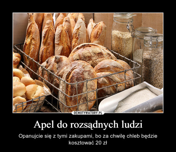 Apel do rozsądnych ludzi – Opanujcie się z tymi zakupami, bo za chwilę chleb będzie kosztować 20 zł 