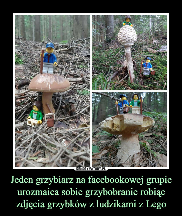 Jeden grzybiarz na facebookowej grupie urozmaica sobie grzybobranie robiąc zdjęcia grzybków z ludzikami z Lego –  