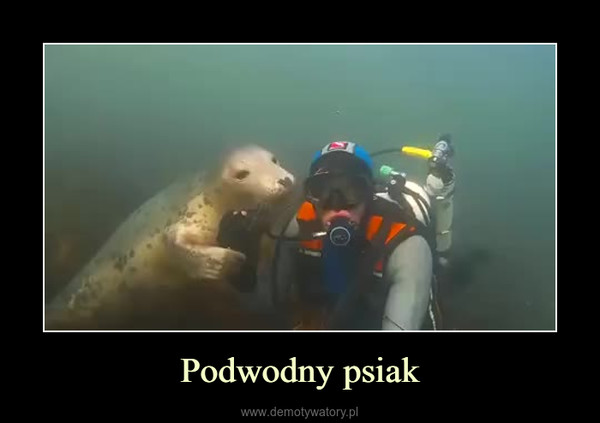 Podwodny psiak –  