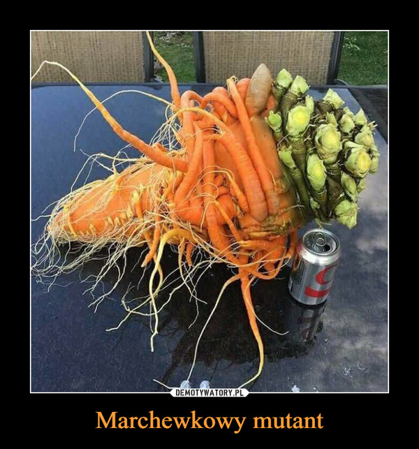 Marchewkowy mutant –  