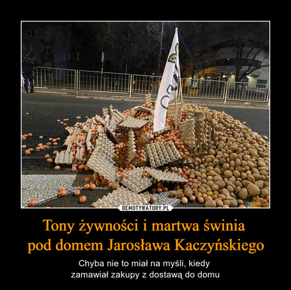 Tony żywności i martwa świnia pod domem Jarosława Kaczyńskiego – Chyba nie to miał na myśli, kiedy zamawiał zakupy z dostawą do domu 