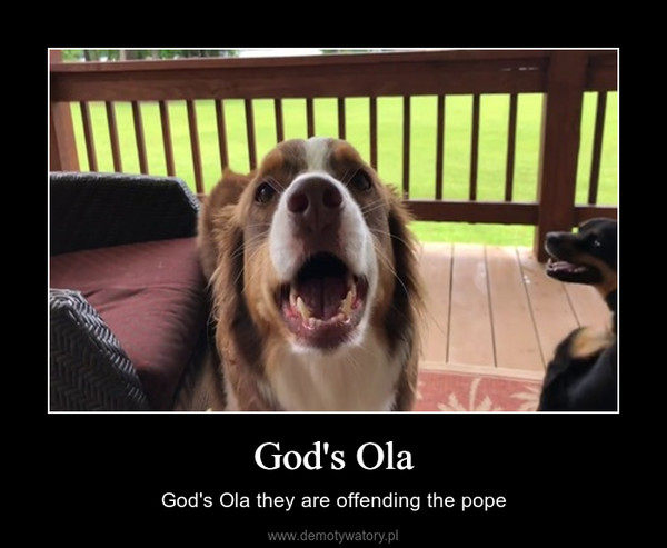 God's Ola – God's Ola they are offending the pope 