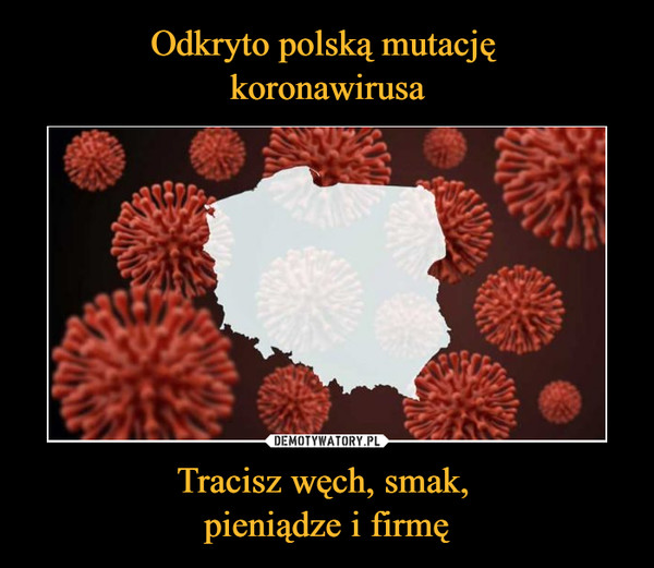 Odkryto polską mutację 
koronawirusa Tracisz węch, smak, 
pieniądze i firmę