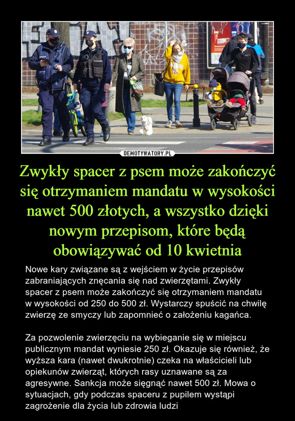 Zwykły spacer z psem może zakończyć się otrzymaniem mandatu w wysokości nawet 500 złotych, a wszystko dzięki nowym przepisom, które będą obowiązywać od 10 kwietnia
