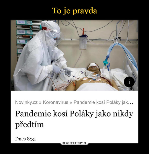  –  Pandemie kosí Poláky jako nikdy předtím