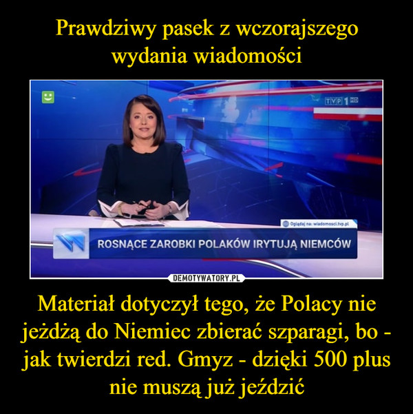 Prawdziwy pasek z wczorajszego wydania wiadomości Materiał dotyczył tego, że Polacy nie jeżdżą do Niemiec zbierać szparagi, bo - jak twierdzi red. Gmyz - dzięki 500 plus nie muszą już jeździć