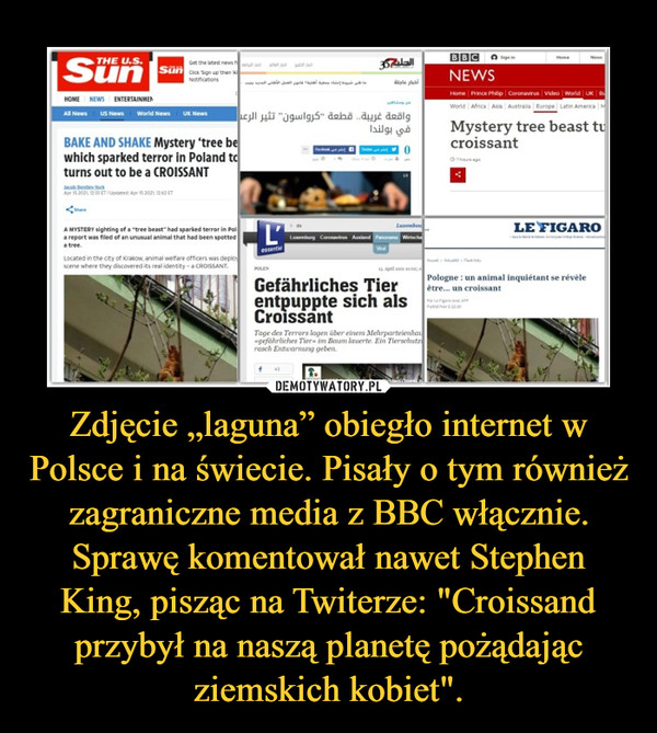 Zdjęcie „laguna” obiegło internet w Polsce i na świecie. Pisały o tym również zagraniczne media z BBC włącznie. Sprawę komentował nawet Stephen King, pisząc na Twiterze: "Croissand przybył na naszą planetę pożądając ziemskich kobiet".