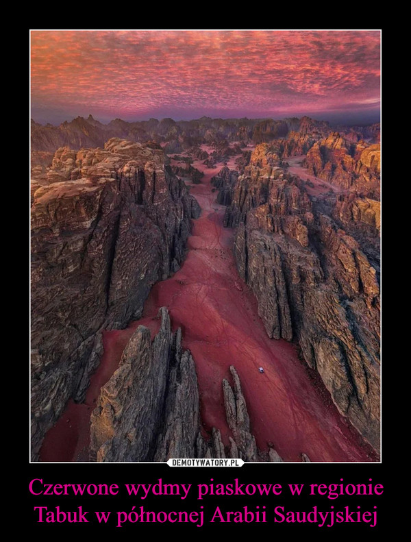 Czerwone wydmy piaskowe w regionie Tabuk w północnej Arabii Saudyjskiej –  