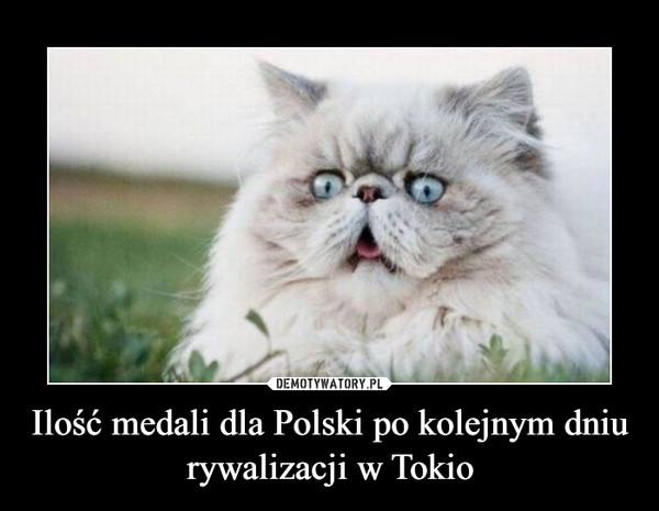 Ilość medali dla Polski po kolejnym dniu rywalizacji w Tokio