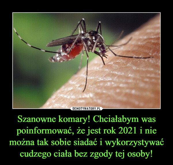 Szanowne komary! Chciałabym was poinformować, że jest rok 2021 i nie można tak sobie siadać i wykorzystywać cudzego ciała bez zgody tej osoby!