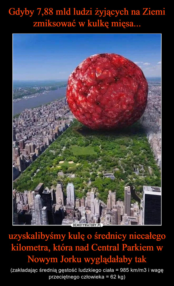 Gdyby 7,88 mld ludzi żyjących na Ziemi zmiksować w kulkę mięsa... uzyskalibyśmy kulę o średnicy niecałego kilometra, która nad Central Parkiem w Nowym Jorku wyglądałaby tak