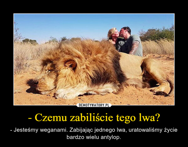 - Czemu zabiliście tego lwa?